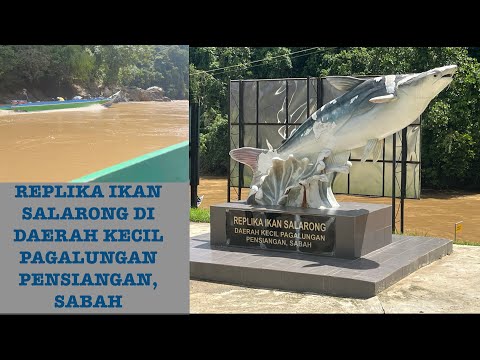 Viral REPLIKA IKAN SALARONG PERJALANAN YANG MENCABAR KE DAERAH KECIL PAGALUNGAN PENSIANGAN,SABAH