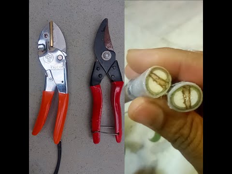 FalCoN ProFessional Pruner ₹563/- UNBOXING _ ANVIL VS. BYPASS Pruning Shear