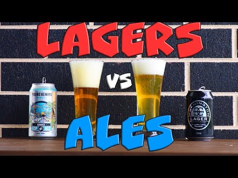 Lagers Vs Ales: Whats the Difference?
