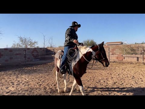 AZHT: Quick Riding Tip - Using your body in the saddle