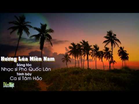 Hương lúa miền Nam - Tâm Hảo