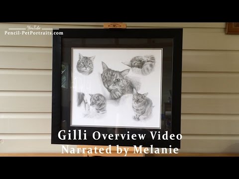 Pet Portraits - Cat Pencil Drawing by Melanie Phillips