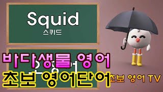바다생물 영어 / 초보 영어단어 / 기초 영어단어