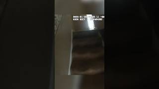 Attempted Murder Suspect Found Hiding Under a Bed by Police