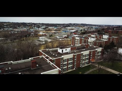 Ralph Taj Aka Youngtaj -  Nobody Loves You