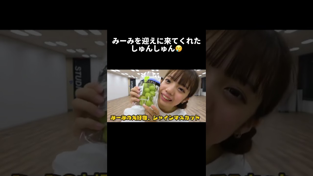 みーみを迎えに来てくれたしゅんしゅん😢 #Shorts