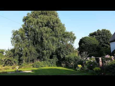 Mackworth House Farm, Derby, United Kingdom | Travel With Kiara