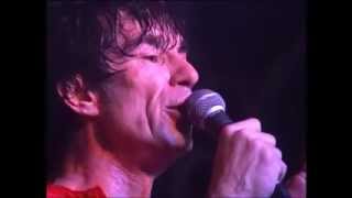 Sham 69 - Mister You&#39;re A Better Man Than I (From the DVD &#39;Sham 69 In Concert: Hersham Boys&#39;)