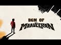 Maaveeran | Maaveeran Bgm | #Sivakarthikeyan |#SK22 | Madonne Ashwin | Cine Raid