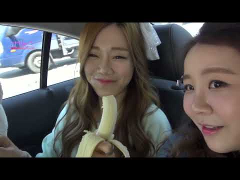 [IDOL 24 HOURS] Baby Boo (베이비부) - Once you see it, you fall in love with it~ (한번 보면 빠져드는 매력~)