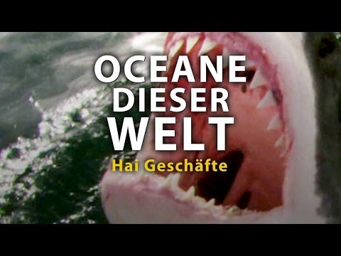 Ozeane dieser Welt - Hai Geschäfte (2011) [Dokumentation] | Film (deutsch)