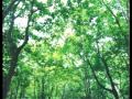 Utawarerumono OP (Relaxing Version) 