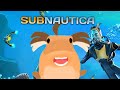 SUBNAUTICA What This Fih Doin