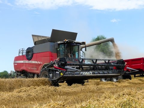 Harvest / Moisson - 2016 - NEW Massey ferguson Centora 7380 - Sarl PRAUD DT