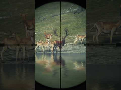 Got my 1st Diamond | The Hunter: Call of The WILD 🦌
