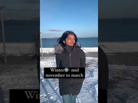 Temporadas em Vladivostok | Universidade federal do Extremo Oriente | FEFU | MBBS na Rússia | inverno em Vladivostok