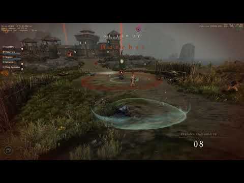 New World No.1 Life staff dps war experience