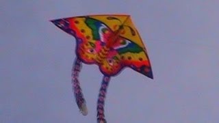 Kite Festival at Kovalam