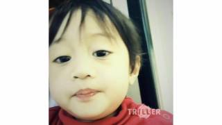 The Abc Song - Kim Mitzo Thompson - Triller