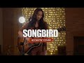 Songbird (Fleetwood Mac) | Acoustic Cover