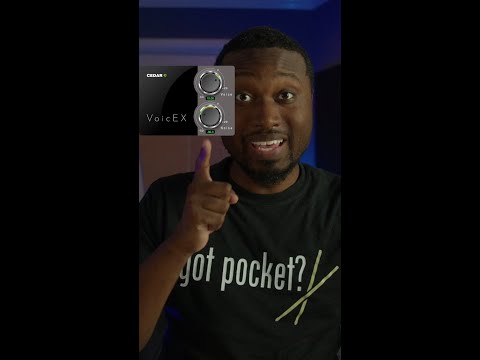 Noise Reduction Made Easy: Cedar Audio VoicEX Plugin
