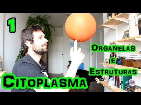 Organelas Citoplasmáticas (Parte 1) - Citoplasma