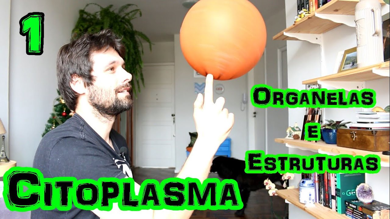 Organelas Citoplasmáticas (Parte 1) - Citoplasma