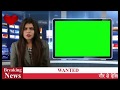 Breaking News Green Screen Videos Wanted Boy