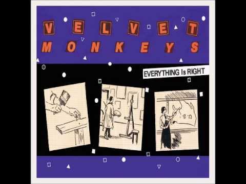 Velvet Monkeys 