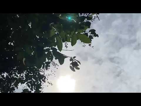 OFFICIAL LYRIC VIDEO : Dua Puluh Dua - Inggrid Beatrix