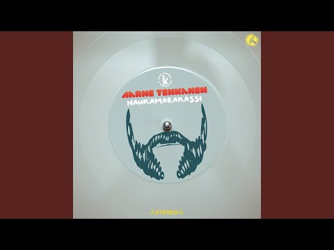 Nahkamarakassi - Aarne Tenkanen