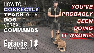 How to CORRECTLY Teach Your Dog Verbal Commands. Episode 18