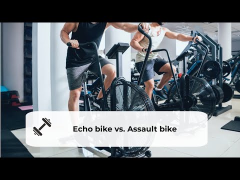 Echo bike vs  Assault bike  Which Should You Buy