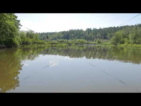Smooth surface of water, River Serga, Urals, Russia. 4K