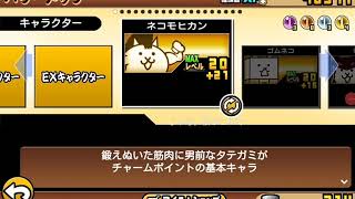 にゃんこ大戦争のキャラ紹介