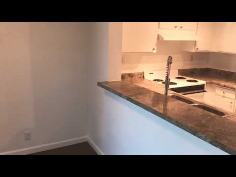 Unit 241 - mirrored fire place, dark chocolate floors and renovated bathroom / for rent this June