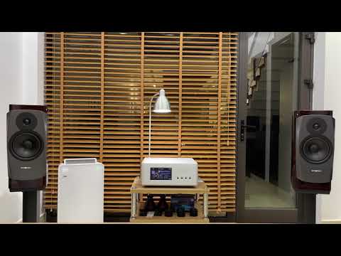 Dynaudio Confidence 20 & Boulder 866 #02