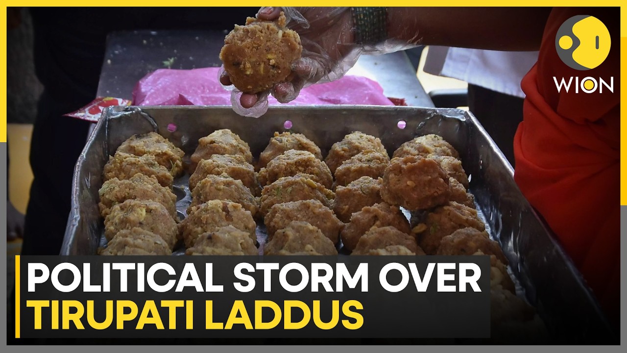 Tirupati Laddu Row: CM Naidu Alleges Pre-Planned Attacks on Hindu Faith Under YSRCP Rule | WION News