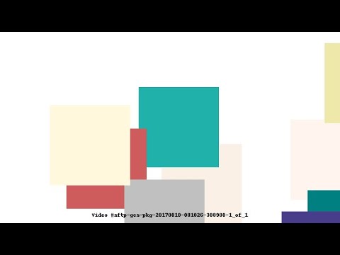 Video #sftp-gcs-pkg-20170810-081026-388988-1_of_1