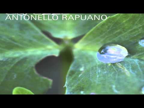 Carezze - Antonello Rapuano