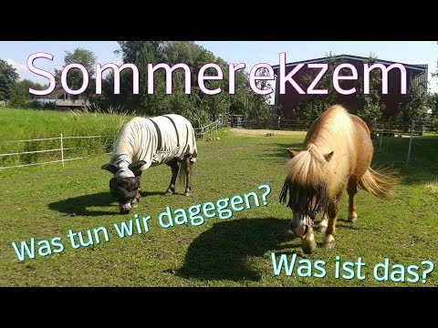 Nejrodermit und die Schuppenflechte als zu behandeln Dem Kubus die Behandlung der Schuppenflechte