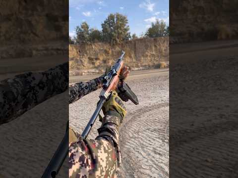 Ruger Wrangler 22 Revolver