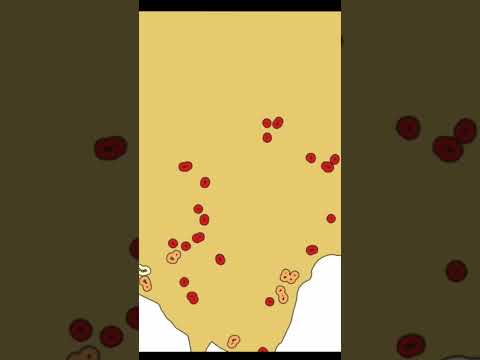 Huella Urbana Beltrán Cundinamarca.