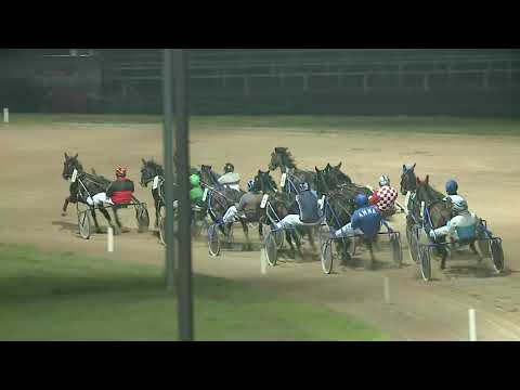 2020.11.28. 10. futam - DESPOTOVOI HENDIKEP