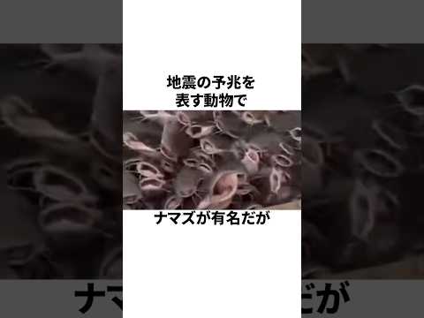 巨大地震は一定のリズムをたどる