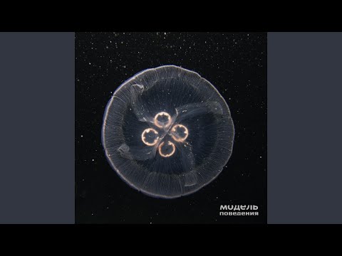 Искры в Лицо