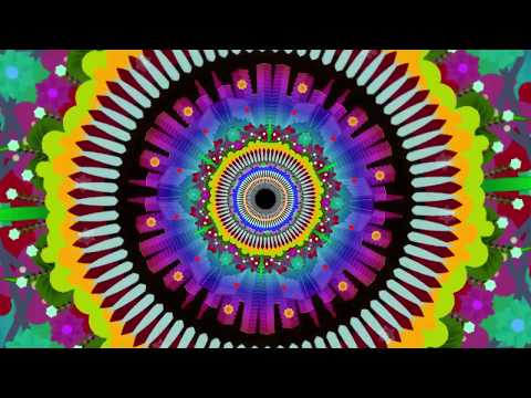 Moon Rocket feat. Paula - Reciprocity (Official Video)