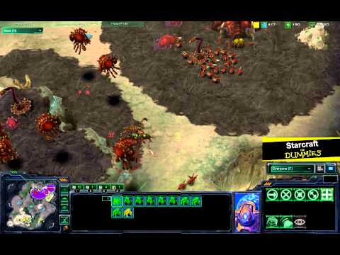 Starcraft SC4D ProMatch 1 - LiquidTLO vs.MouzHazu