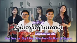 ဃူဖိးကူၣ်ကျဲၤမၤလၢပှဲၤ cover