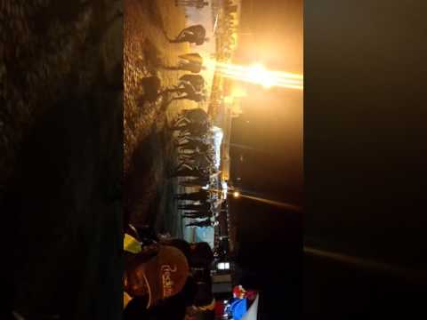 Famup campeã baiana na grande final de mairi